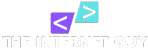 The Internet Guy logo (2)